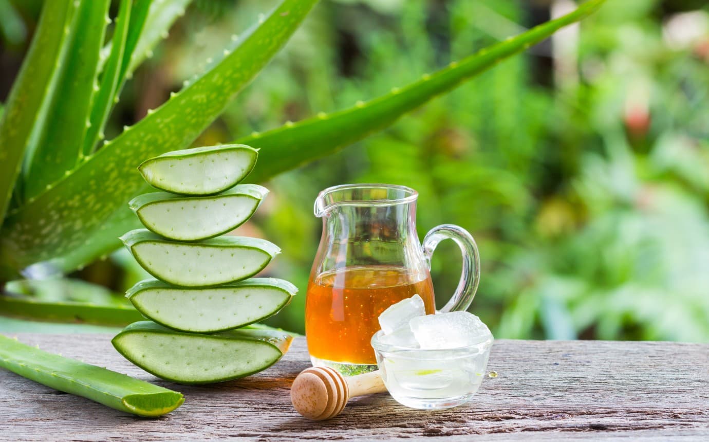 Forever Freedom: Die Vorteile als unabhängiger Distributor von Forever Living Products