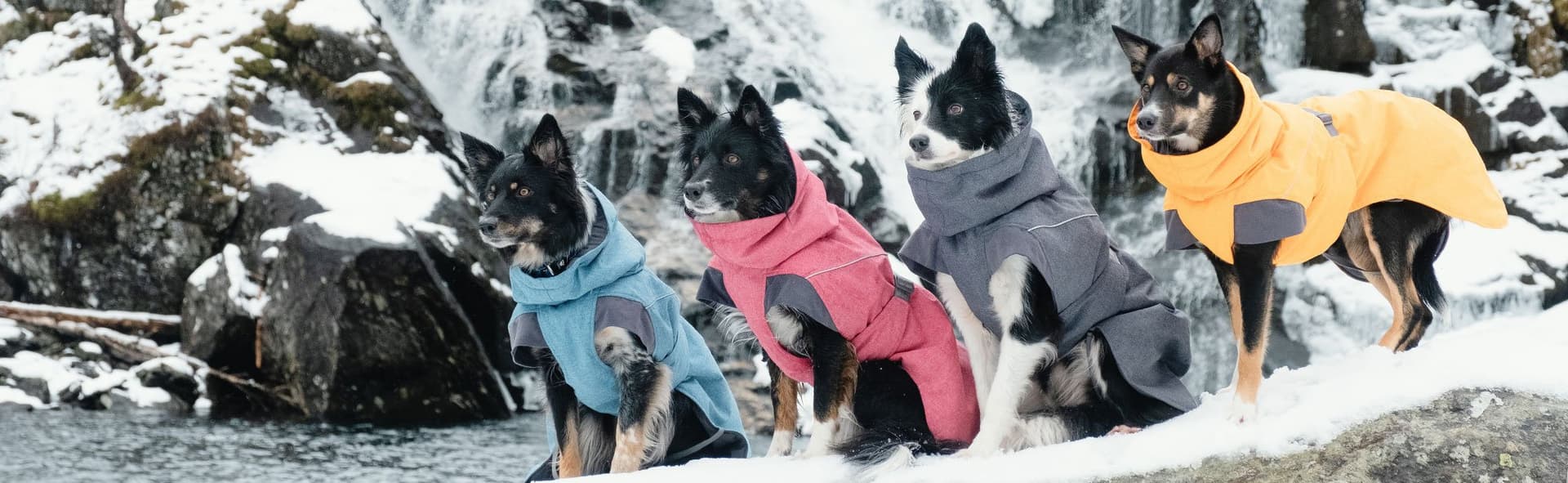 Auswahl der angesagtesten Hundebekleidung