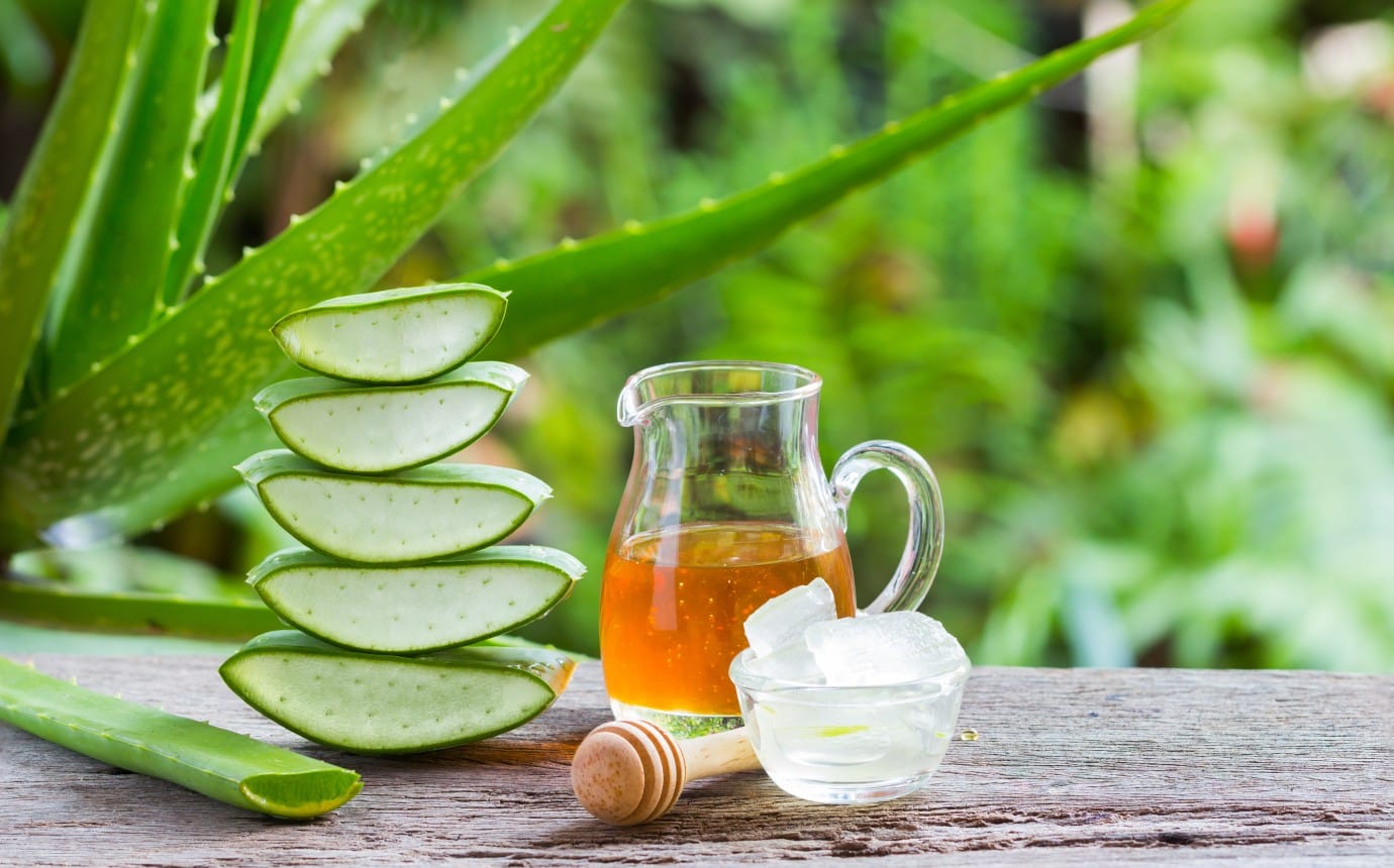 Forever Freedom: Die Vorteile als unabhängiger Distributor von Forever Living Products