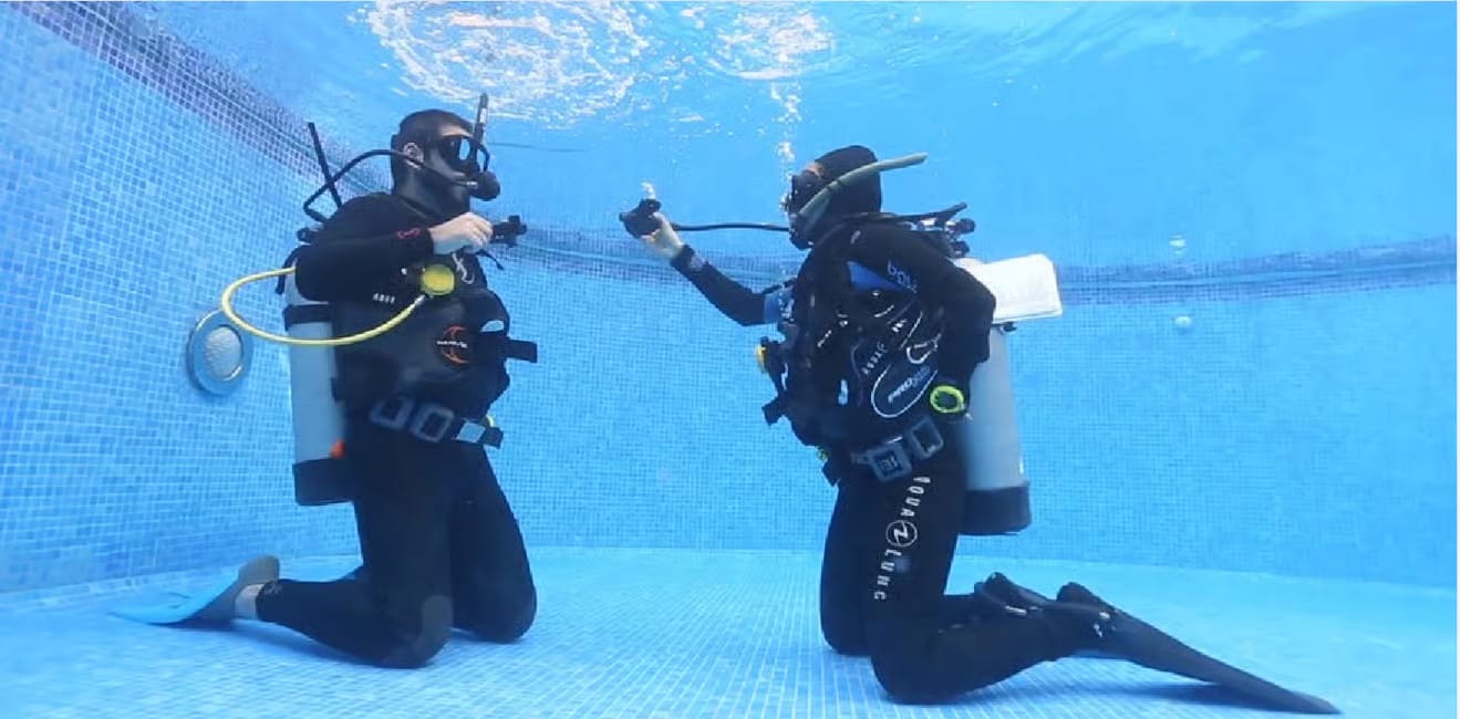 Warum Tauchen Mexiko? DeepDiveMexico zeigt dir die Gründe